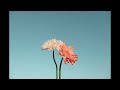 (FREE) Indie Pop X Alternative Rock Type Beat - "Deep Space"