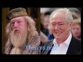 Harry Potter characters then vs now 