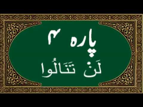 Soqollari ochilmagan tola ayollarning fotosuratlari Shaffof yubka ostida ayollar shaffof pantiesni korishlari mumkin.