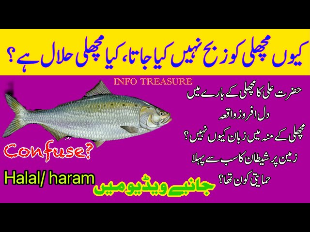 Fish halal or haram in Urdu?, machli hala ya haram