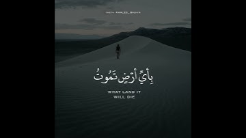 قرآن كريم بصوت القارئ احمد خضر تلاوة مؤثر ارح قلبك 💚🌿حالة واتس إسلامية /استوري انستغرام
