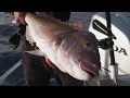 Black Magic KLTournament - Circle Hooks