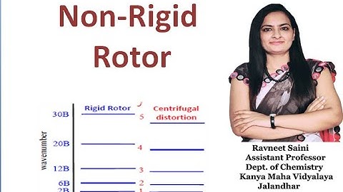 Non Rigid Rotor:A Qualitative Description