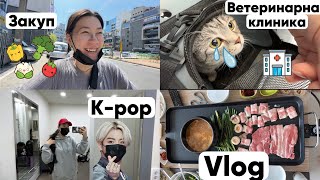 Пошла на K-POP. Ветеренарная клиника в Корее.Закуп продуктов.