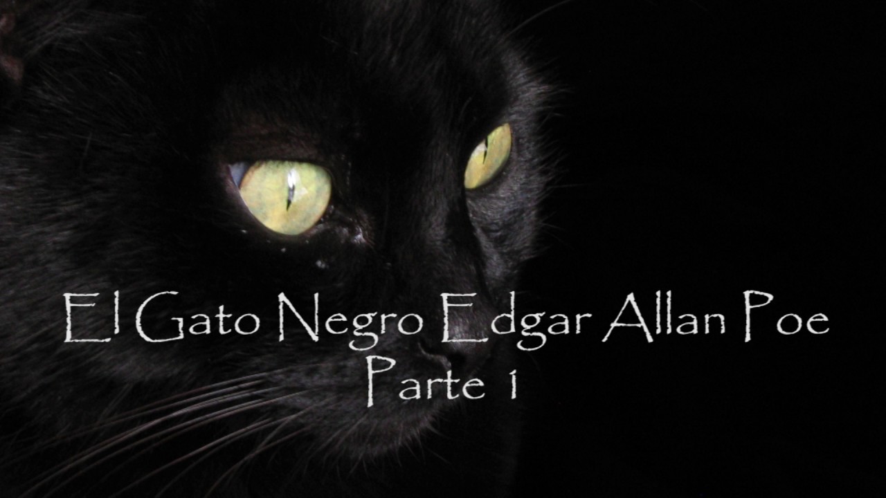 Edgar Allan Poe Il Gatto Nero Riassunto