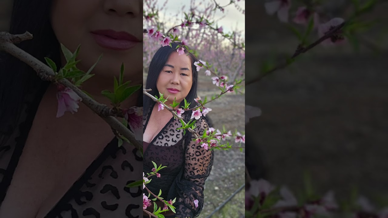 Nco Plees Nkauj Nraum