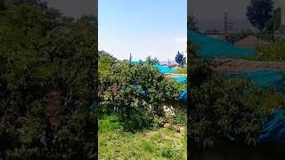 Ayrilik Kolaymi Senin Yaninda Esmammm Resimi