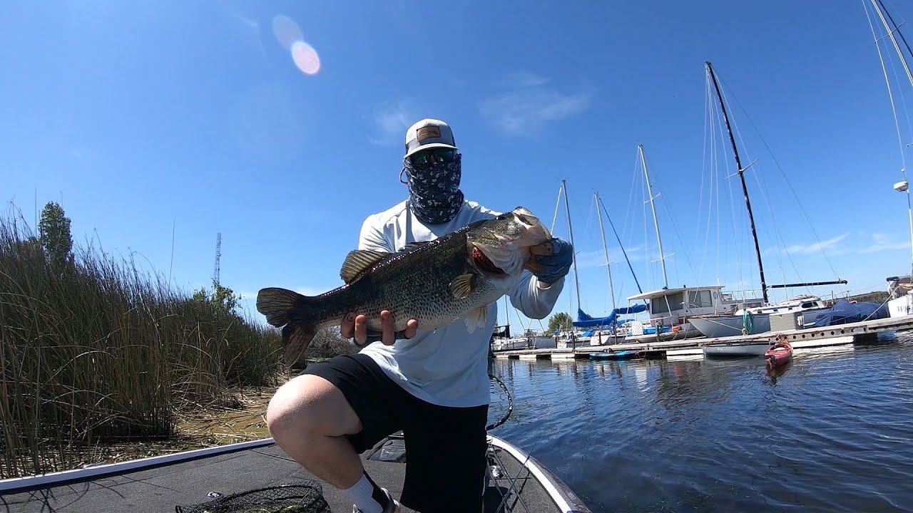 My Top 5 Bed Fishing Baits YouTube