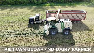 Chopping Alfalfa and Rye (244)