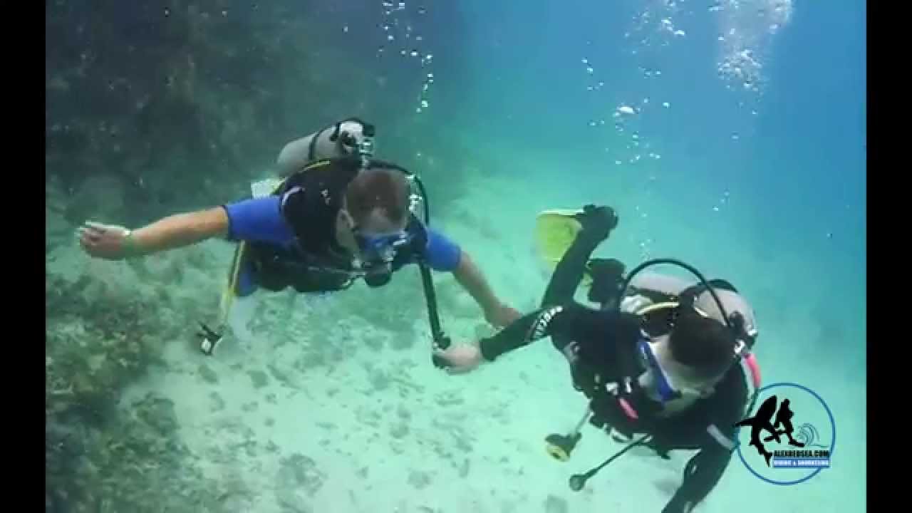 Intro diving in the Red sea. Alex group. Интро дайвинг в Красном море. Алекс групп