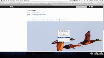 Flickr url