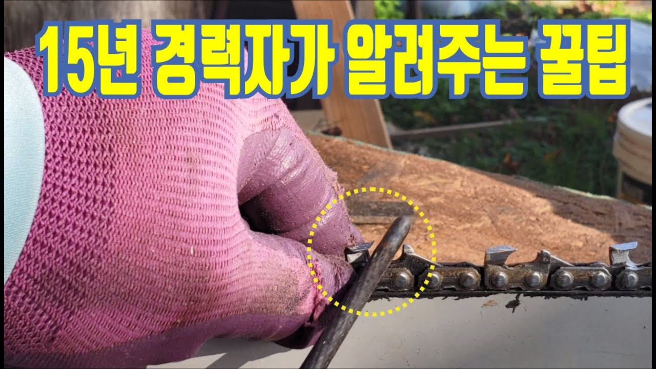 15년 경력자가 알려주는 꿀팁, 체인톱날 갈기, Tips for sharpening chain saw blades from 15 years of experience, 델라웨어 반도