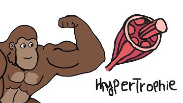 Hypertrophy Addiction Explained By Ape