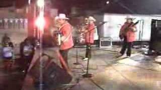 los cachorros de juan villareal- regalo caro