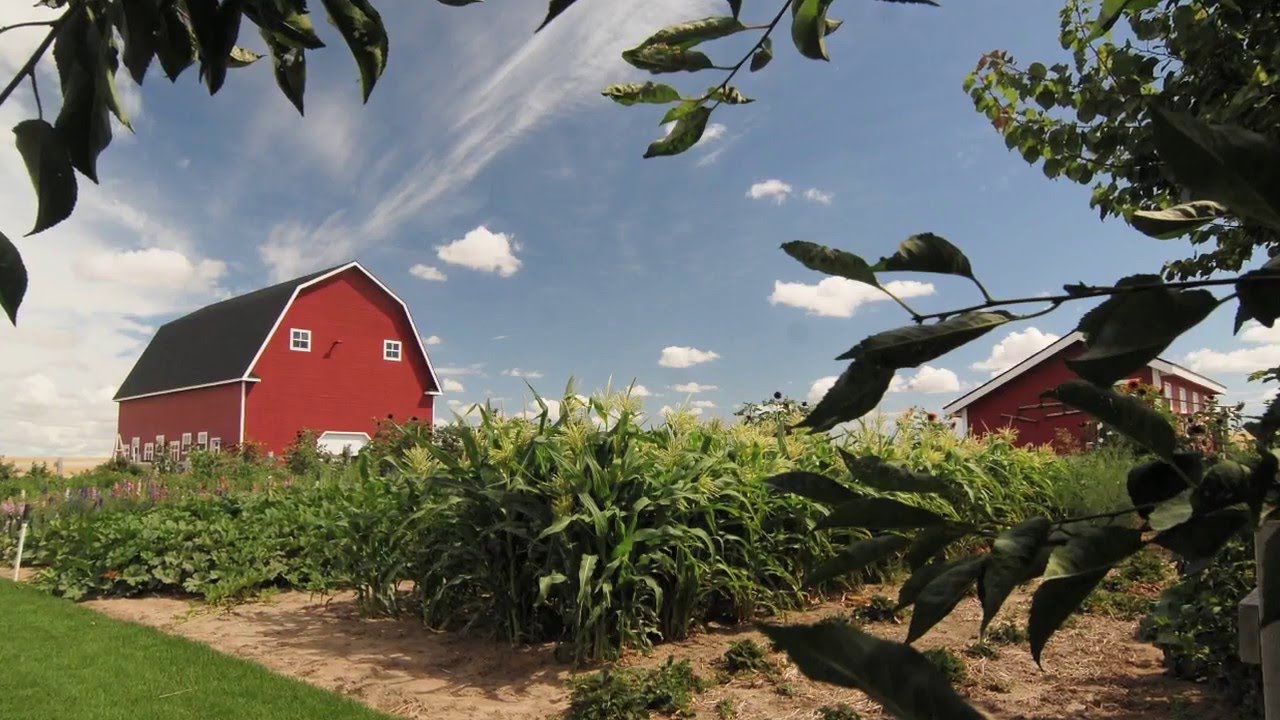 Combined chapters: The hope in healthy soil