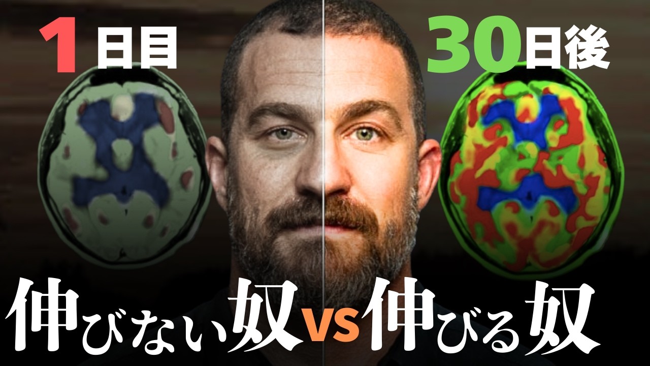 神経科学者「成長する人だけが持つ、”いい意味で”バグった3つのマインドセット」【覚醒する人vsしない人】| アンドリュー・ヒューバーマン 日本語まとめ