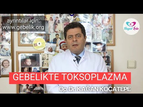 Gebelikte toksoplazma sık mıdır? Nasıl bulaşır? Korunma, tanı ve tedavi yöntemleri nelerdir?