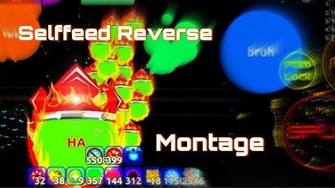 AGMA.IO Mobile Selffeed Reverse Montage - #agma #montagevideo #roadto1k