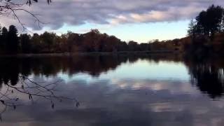Outside Video