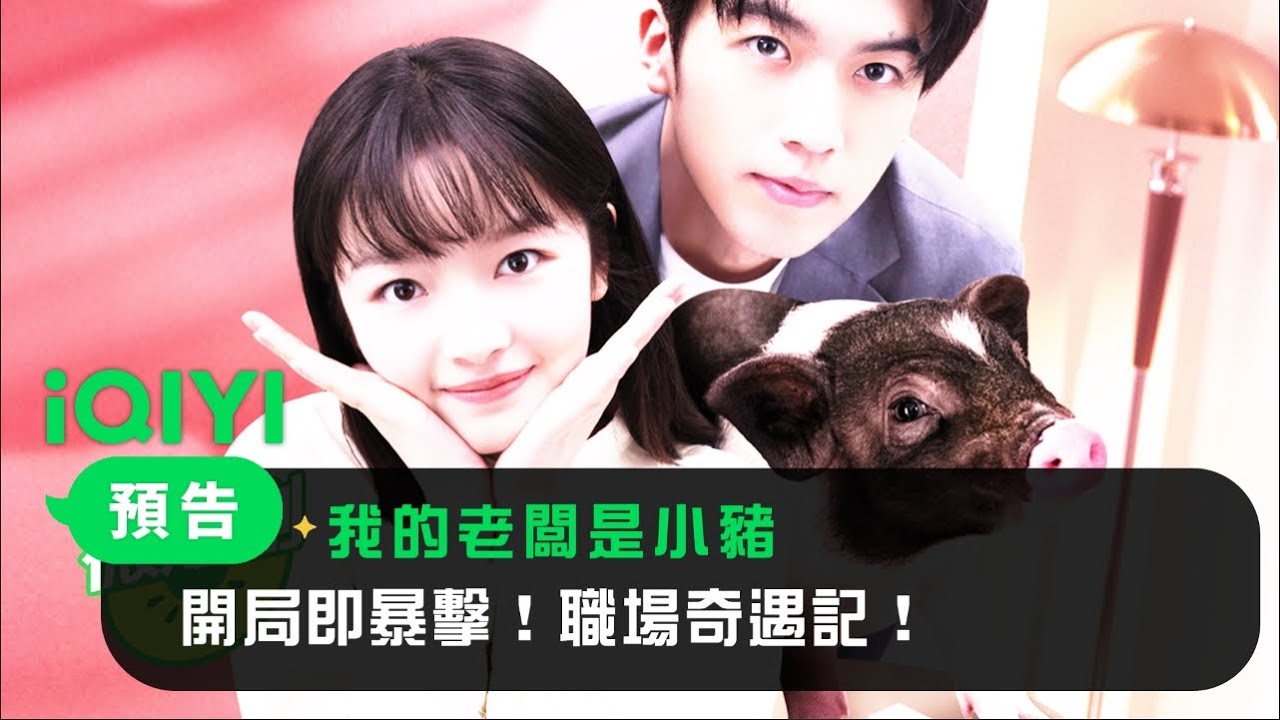 《我的老闆是小豬》預告：開局即暴擊，職場奇遇記！ 卑微打工人楊小珠與身中詛咒“豬頭” 大老闆朱嘯陽聯手破解奇妙“超能力”！  | 愛奇藝