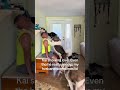 Kisses #akitaworld #dogmom #dogdad #kisses #foryou