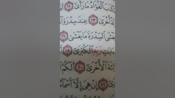 تلاوة رائعة ل عبدالرحمن حسين أبوزهرة