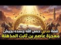 الصحابي الذي حمته جيوش النحل قصة عاصم بن ثابت الأنصاري وكرامة السماء قصص الصحابة