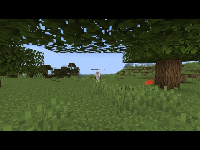 POV: Te dicen que eres pobre - El Calvo de Minecraft