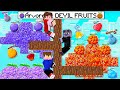 Sobreviva na Árvore de Devil Fruits de One Piece pra virar o Rei dos Piratas no Minecraft!