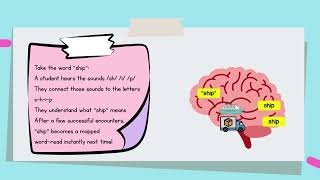 MODULE 1 — How Reading Works The Science Made Simple