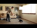 Chausie cat loves to play の動画、YouTube動画。