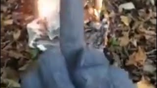 A man burns 80 Trump voted ballots