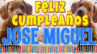 ¡Feliz Cumpleaños Jose Miguel! (Perros hablando gracioso) ¡Muchas Felicidades!