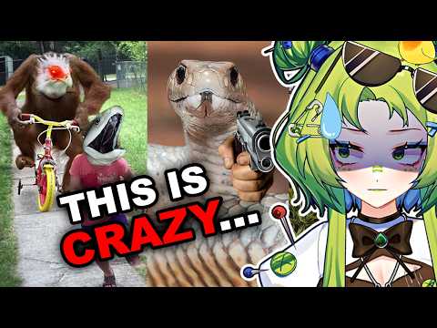 AUSTRALIA IS TERRIFYING!! | MoreParz VTuber Reaction