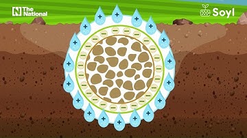 Transforming Deserts into Farmland with LNC Technology | As Featured on The National | Soyl
