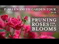 Pruning Roses for Fall Blooms | East Lawn Tour: P. Allen Smith (2019)