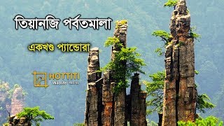 তযনজ পরবতমল একখণড পযনডর Tianzi Mountains A Piece Of Pandora