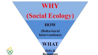Coordinating Care for Children in Families with Complex Social and Health Needs
