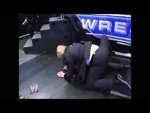 Donald Trump Attacked McMohan In WWE