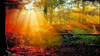 THE OTHER SIDE OF THE SUN - (Lyrics) THE OTHER SIDE OF THE SUN - (Lyrics)
