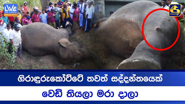 මේවා නම් සහ ගහන අපරාද...ගිරාඳුරුකෝට්ටේ තවත් සද්දන්තයෙක් වෙඩි තියලා මරා දාලා