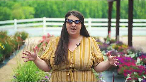 2020 Virtual Trial Garden Tour 5 - Containers