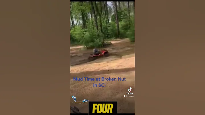 Broken Nut Fun