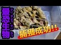 【最恐生物】2匹目のシャコが現れた!捕獲に挑戦!