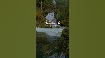وفي الأرض آيات للموقنين [الذاريات:20_22] القارئ #نعمة_الحسان