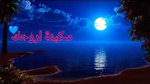 #سورة_هود قصة نوح عليه السلام وابنه بأداء خاشع القارئ عمر الدريويز