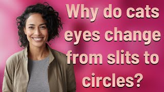 Why do cats eyes change from slits to circles?