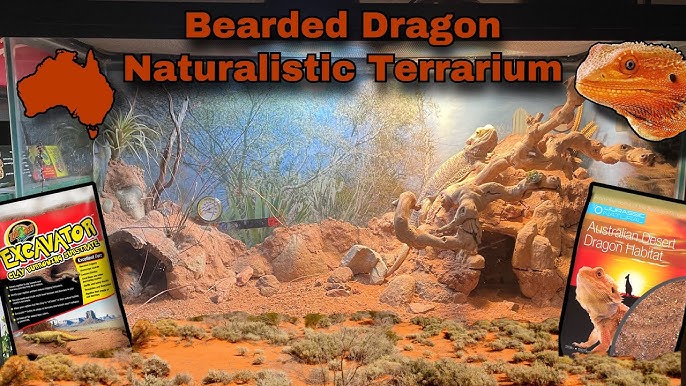 Zoo Med ReptiHabitat Terrarium Kit - Bearded Dragon 20 Gallons