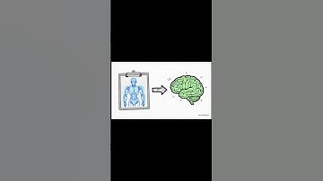 Embodied Co-Design for Rapidly Evolving Agents: Taxonomy, Frontiers, and Challenges