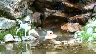 Jack Giargino Giapponese Villa Ormond   Cascata E Laghetto